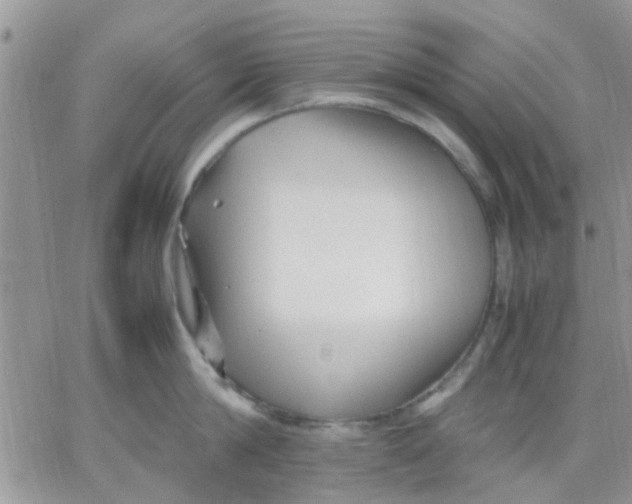 X0000066020814200603241533