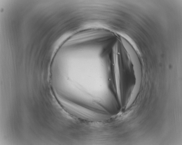 X0000066020815200603241533