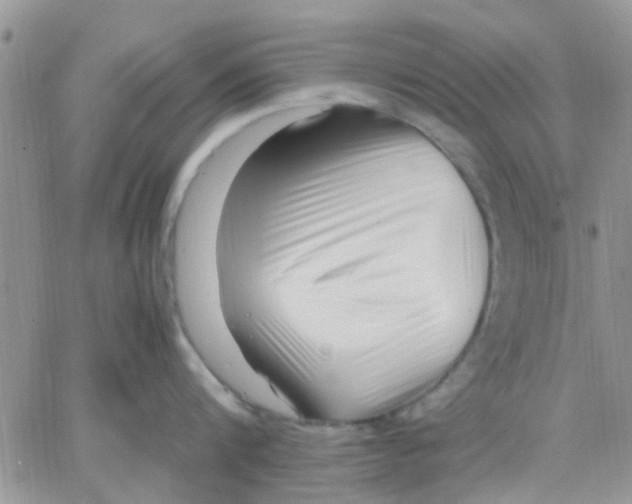 X0000066020816200603241533