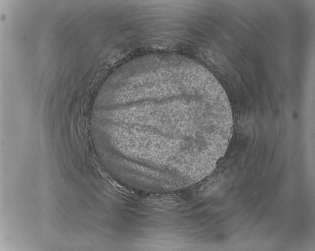 X0000066020817200603241533