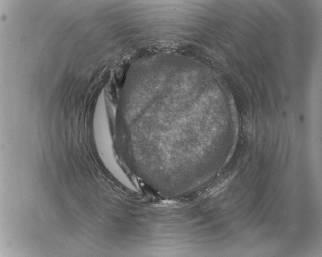 X0000066020818200603241533