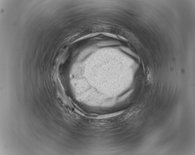 X0000066020819200603241533