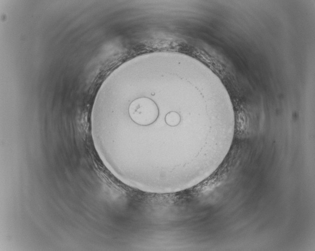 X0000066020820200603241533