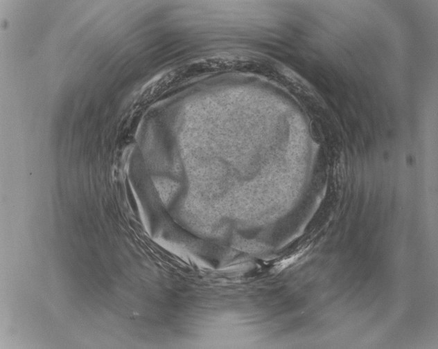 X0000066020822200603241533