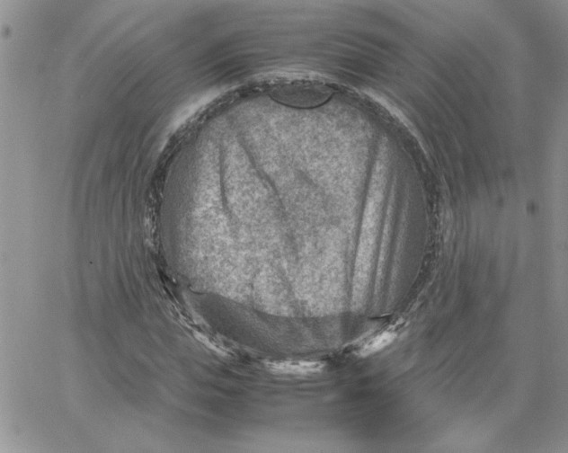 X0000066020823200603241533