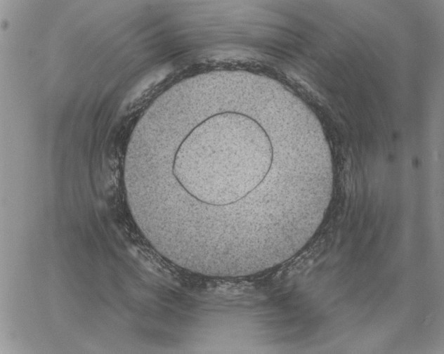 X0000066020824200603241533