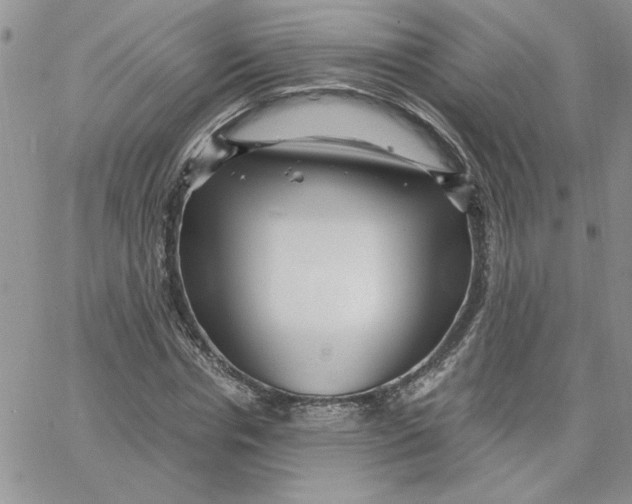 X0000066020826200603241533