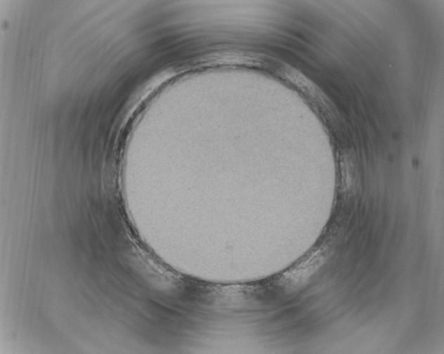 X0000066020828200603241533