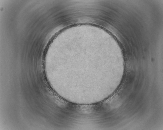 X0000066020832200603241533