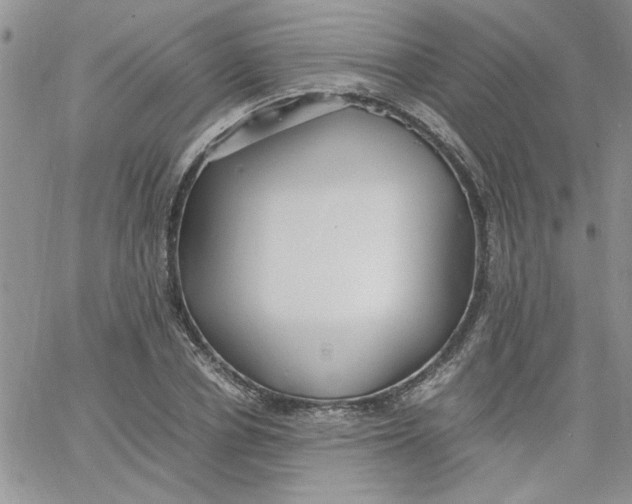 X0000066020834200603241533