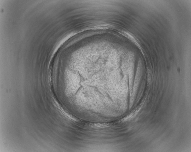 X0000066020835200603241533