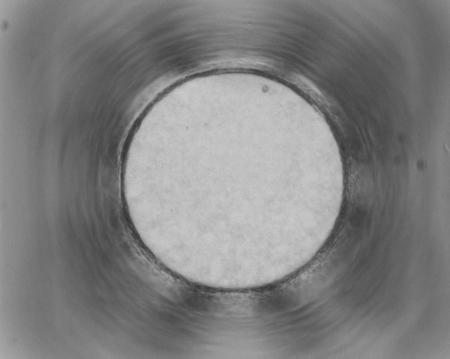 X0000066020836200603241533