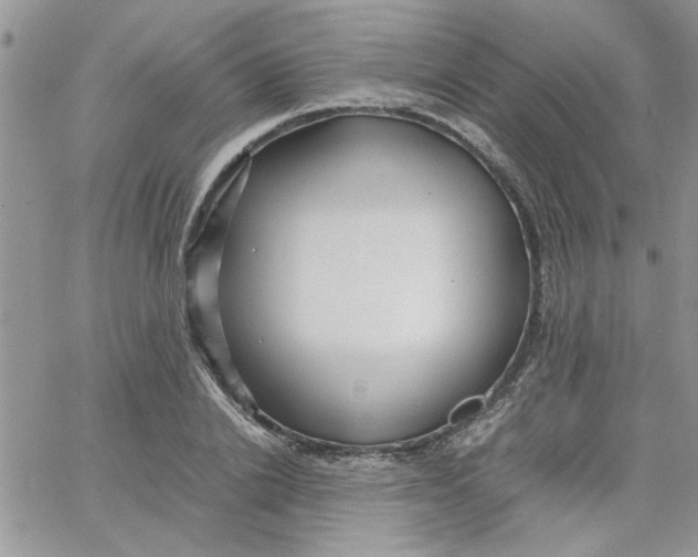 X0000066020838200603241533