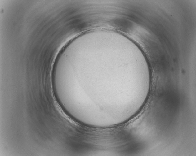 X0000066020840200603241533