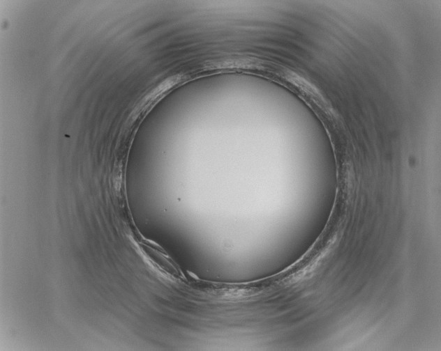 X0000066020841200603241533