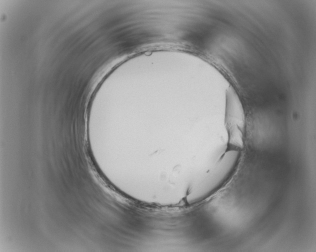 X0000066020844200603241533