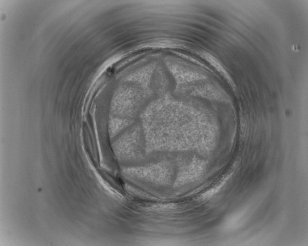 X0000066020845200603241533