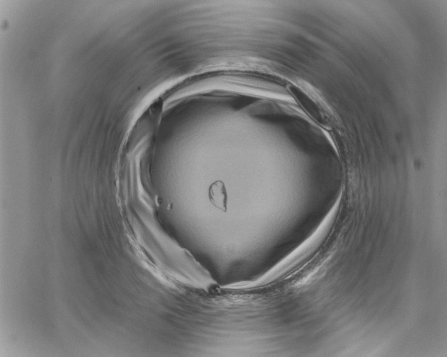 X0000066020846200603241533