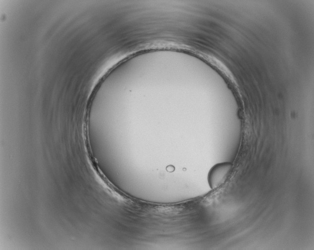 X0000066020847200603241533