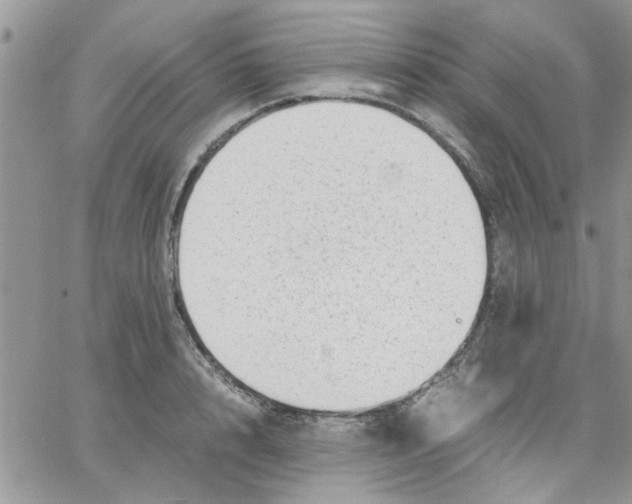 X0000066020848200603241533