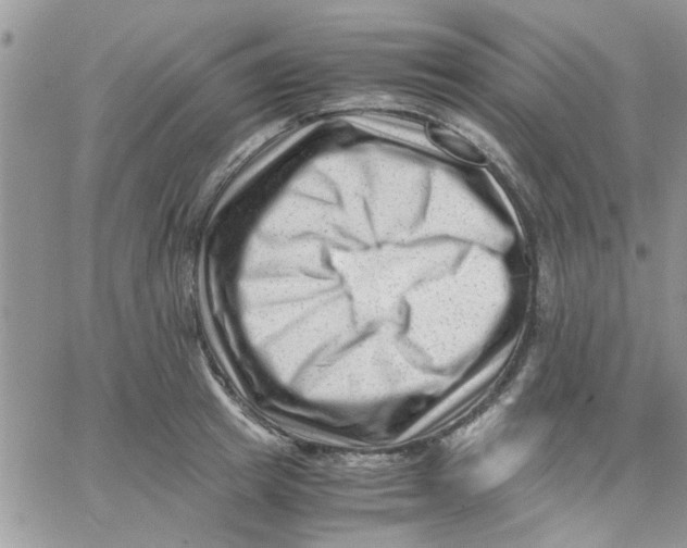 X0000066020849200603241533