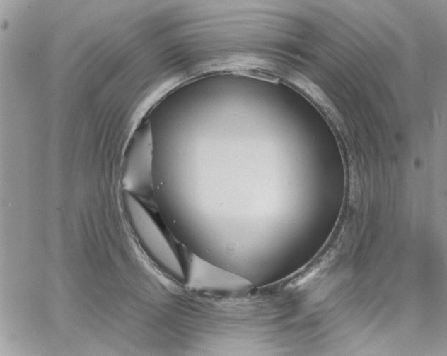 X0000066020850200603241533