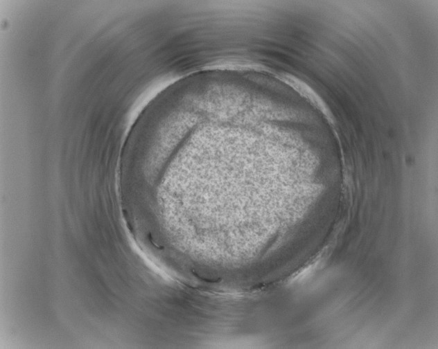 X0000066020855200603241533