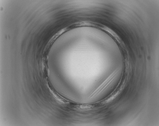 X0000066020857200603241533