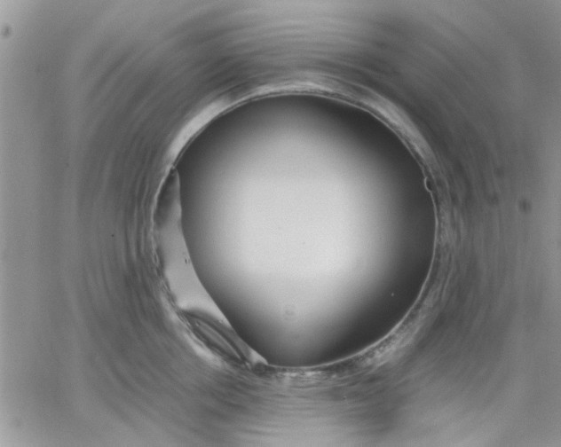 X0000066020858200603241533