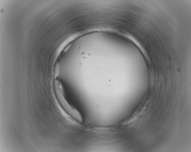 X0000066020861200603241533