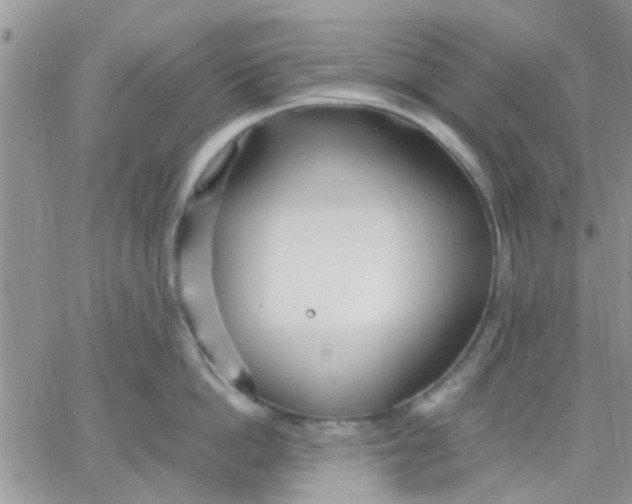 X0000066020862200603241533