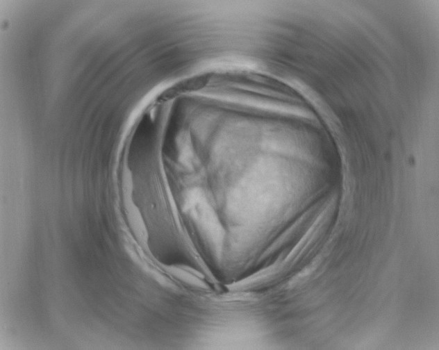 X0000066020864200603241533