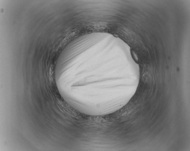 X0000066020866200603241533