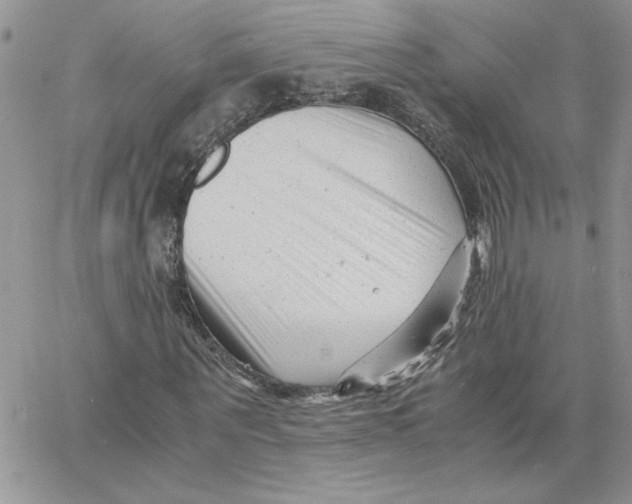 X0000066020867200603241533