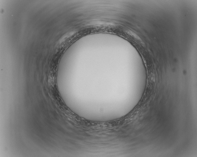 X0000066020869200603241533