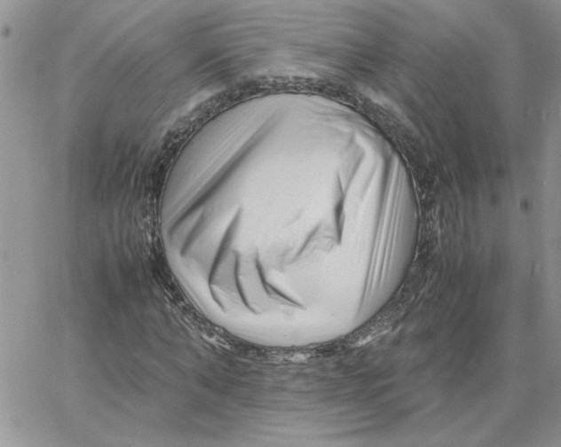 X0000066020870200603241533