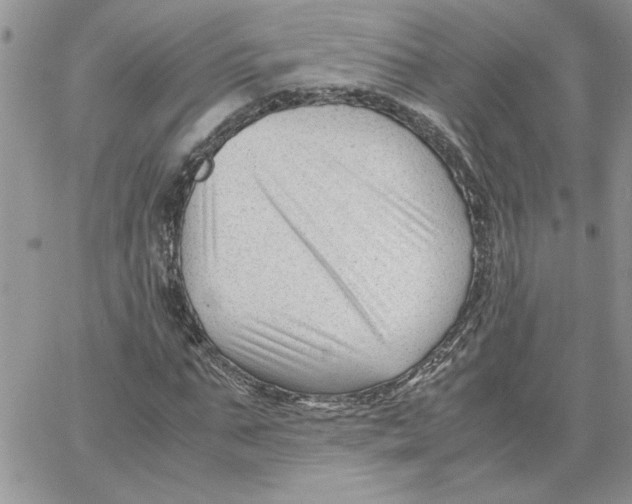 X0000066020871200603241533