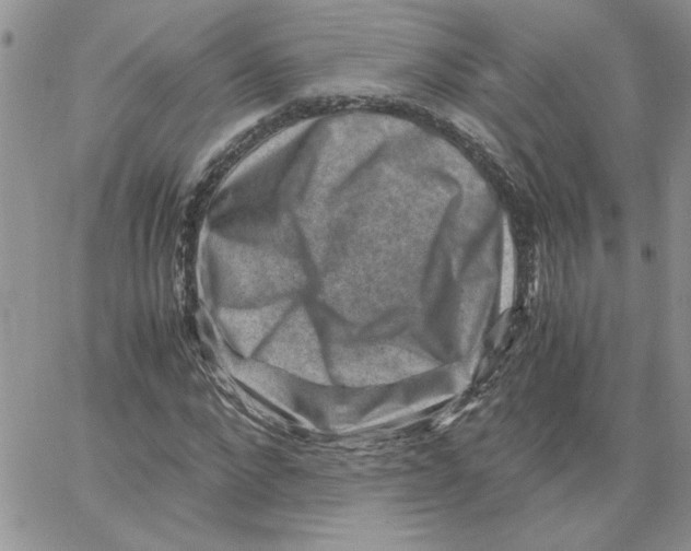 X0000066020872200603241533