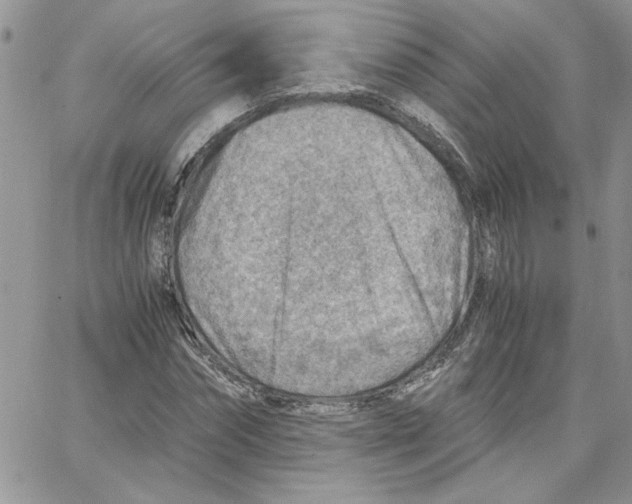 X0000066020874200603241532