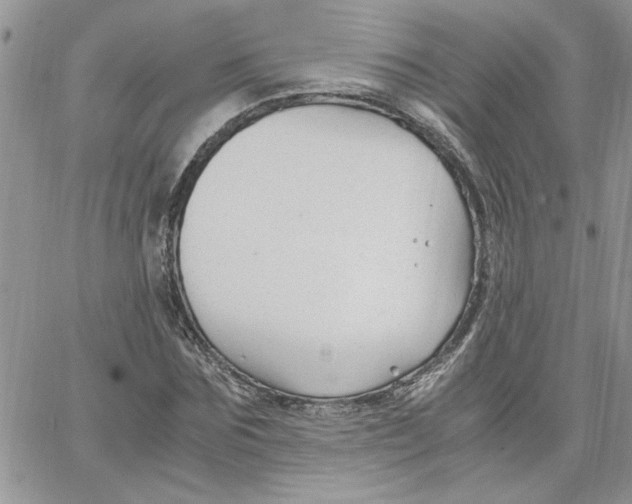 X0000066020875200603241532