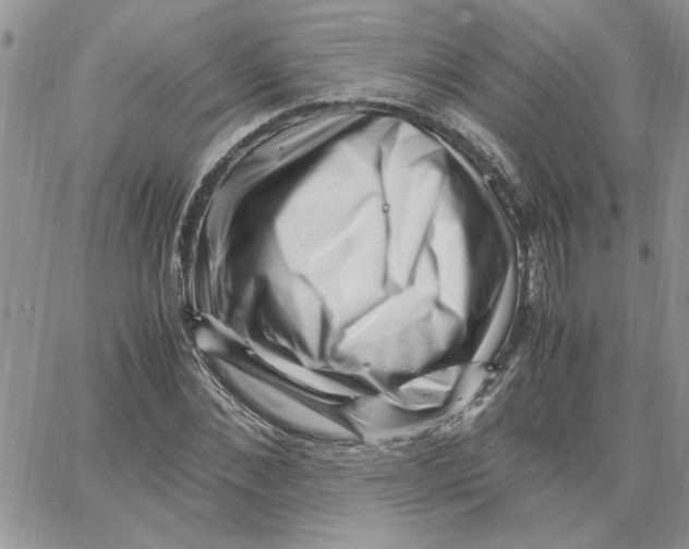 X0000066020876200603241532