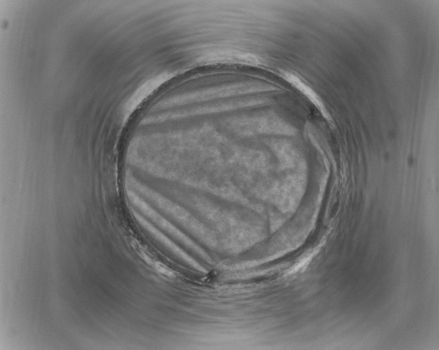 X0000066020877200603241532