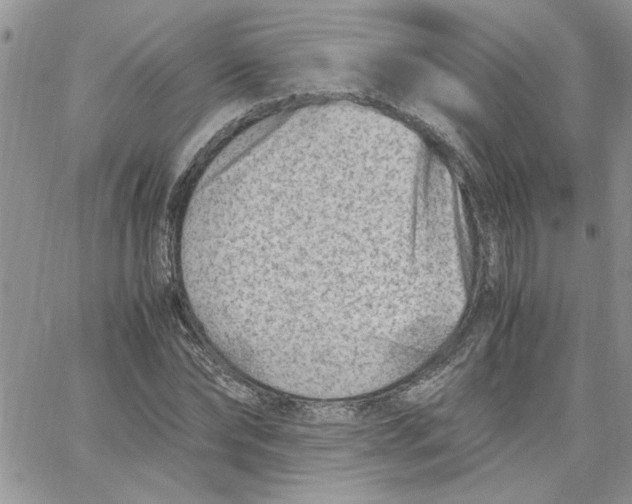 X0000066020878200603241532