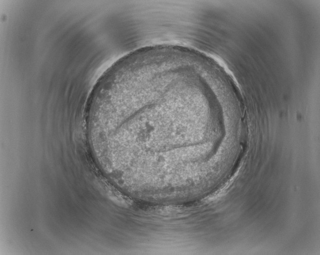 X0000066020879200603241532