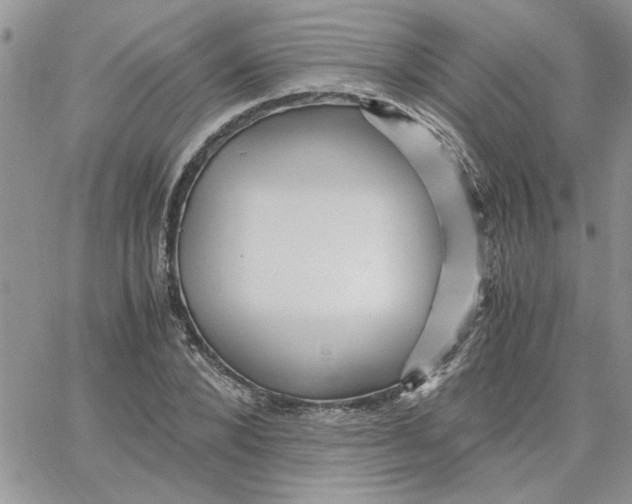 X0000066020880200603241532