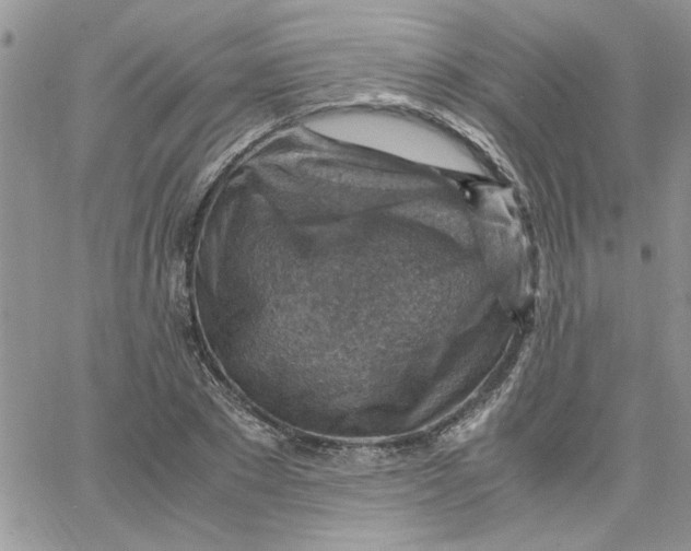 X0000066020881200603241532