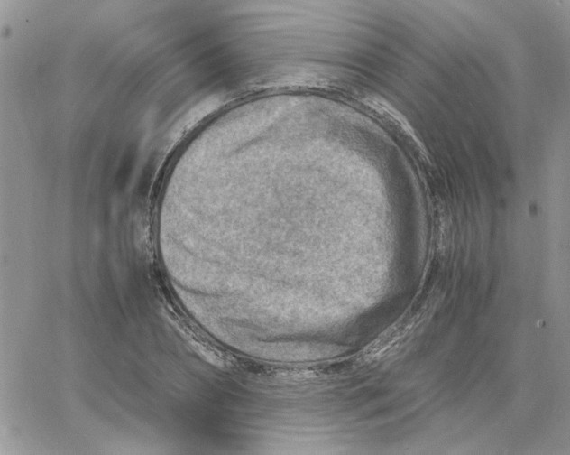 X0000066020882200603241532