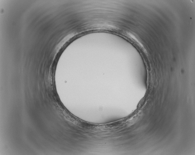 X0000066020883200603241532