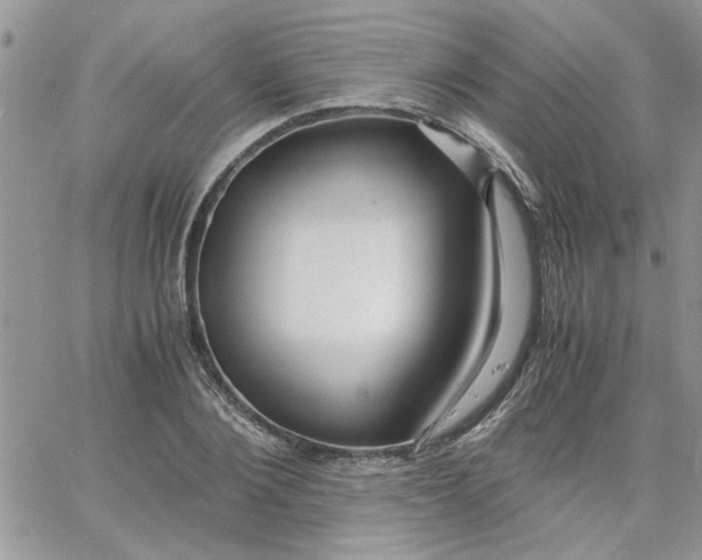 X0000066020884200603241532