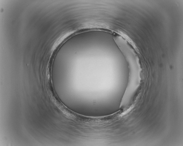 X0000066020885200603241532